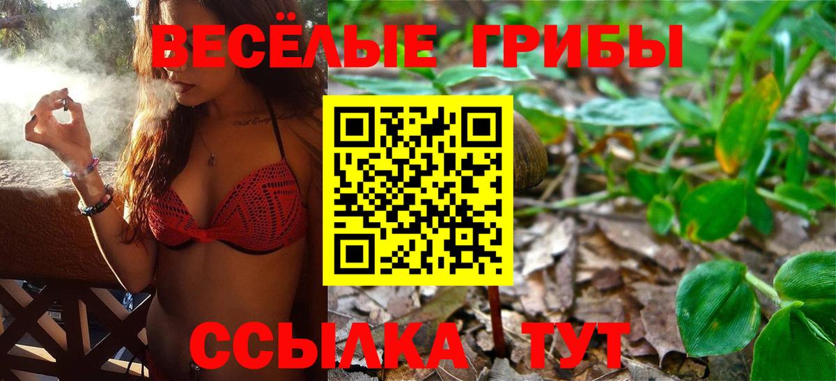 Галлюциногенные грибы Cubensis  Псилоцибиновые грибы Magic Shrooms  Белорецк  Вход с VPN 